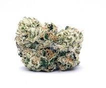 Lemon Cherry Gelato Smalls 14g