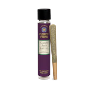 Florist Farms | Live Resin Infused | Candy Jack | 1 Gram Joint| Single