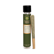 Florist Farms - Tropical Cookies - 1g - Preroll