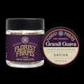 FLORIST FARMS | Grandi Guava | 7G