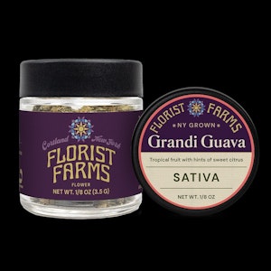FLORIST FARMS - FLORIST FARMS | Grandi Guava | 7G