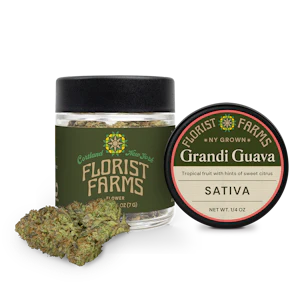 FLORIST FARMS - Florist Farms | Guava Grande | 7grams Sativa