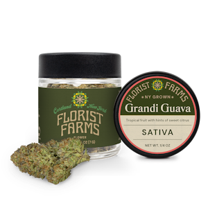 FLORIST FARMS - Grandi Guava | Flower | 7g (1/4oz)