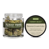 Banana Cream Cake x Jealousy | 7g Whole Flower