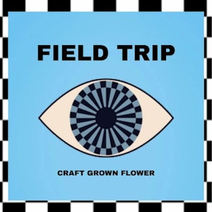 Field Trip - Field Trip 2pk Prerolls 1g Lemon Squeezy