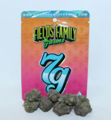Gross (7g) by Fields Family Farmz