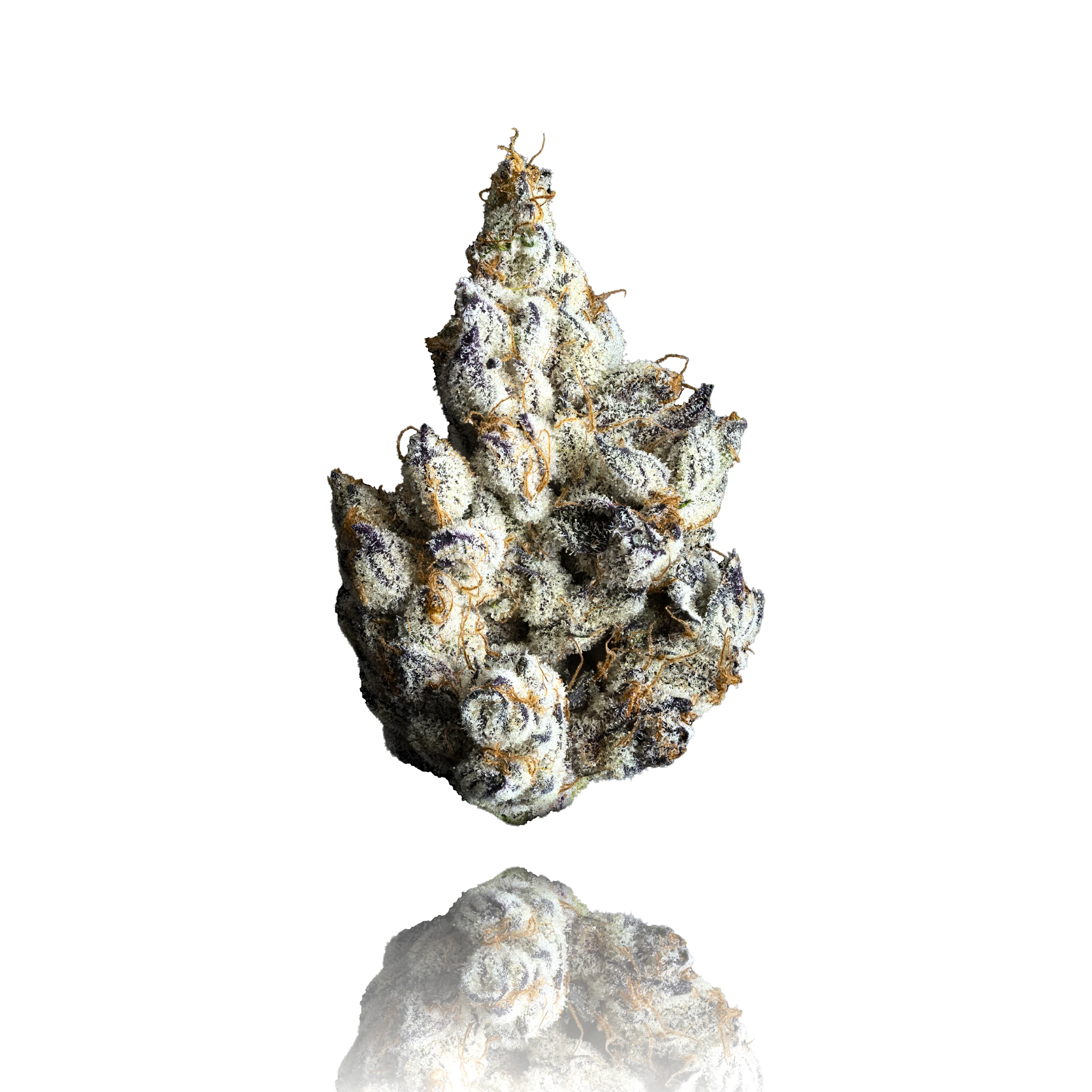 Maven Genetics - Maven Genetics | Indoor | Sample | FKAFL | 1g Main Image