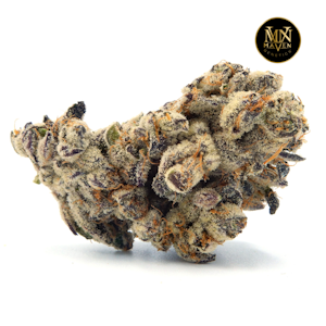 MAVEN GENETICS - FKAFL - 3.5g (H) - Maven