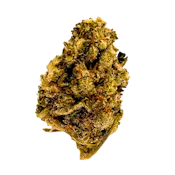 FL Fog Dog | 3.5g