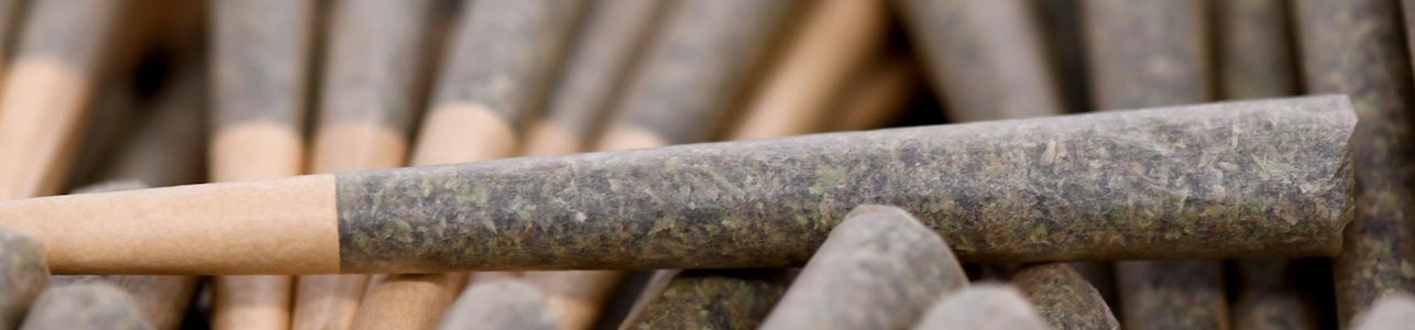 FLORA FARMS - CLOVR - KEY LIME GELATO 1 GRAM PRE-ROLL