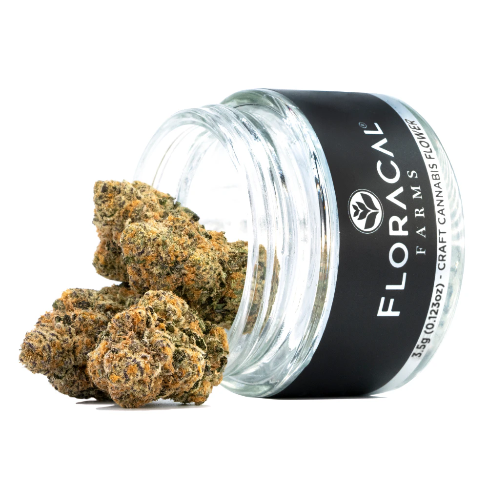 FloraCal - FLORACAL | MAUI PUNCH | FLOWER | 7G Main Image