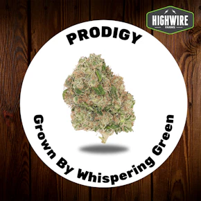 Prodigy OZ