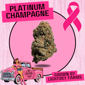 Platinum Champagne OZ