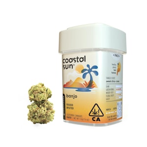 COASTAL SUN - Banjo - 3.5g (SH) - Coastal Sun