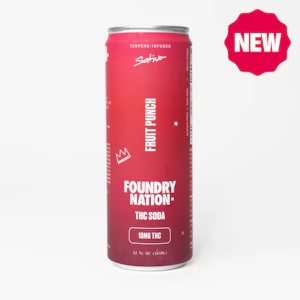 Foundry - Foundry | 10mg THC Soda | Fruit Punch