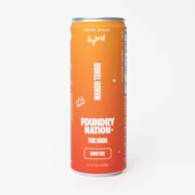 Foundry Nation | Mango Tango Soda | 10mg THC
