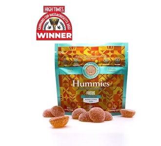 TREEWORKS - Mango Citrus Focus Hummies - 100mg - TWM