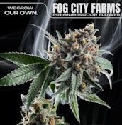 FOG CITY PROMO-BUY A FOR CITY 7PK AND GET 1G FLOWER AND 1G PREROLL FOR 1 DOLLAR
