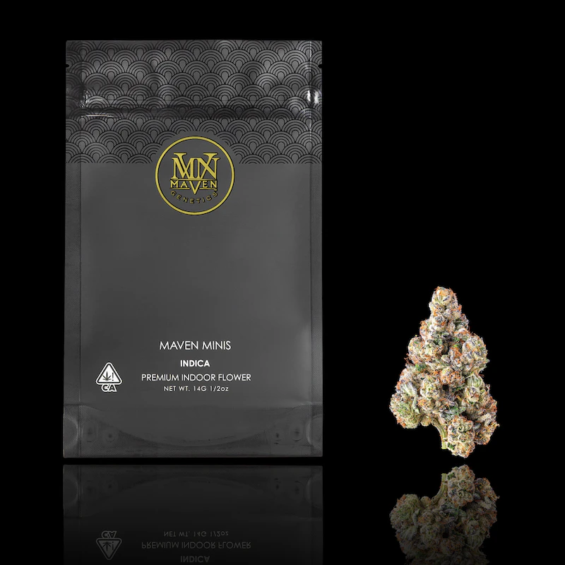 Maven Genetics - French Butter (Minis) - 14g (I) - Maven Main Image