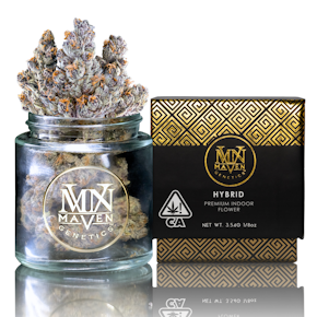 Maven Genetics | Indoor | French Lotus  | 3.5g