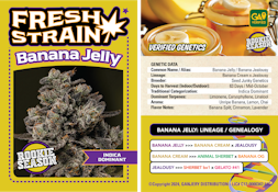 Banana Jelly - 3.5g (IH) - Fresh Strain