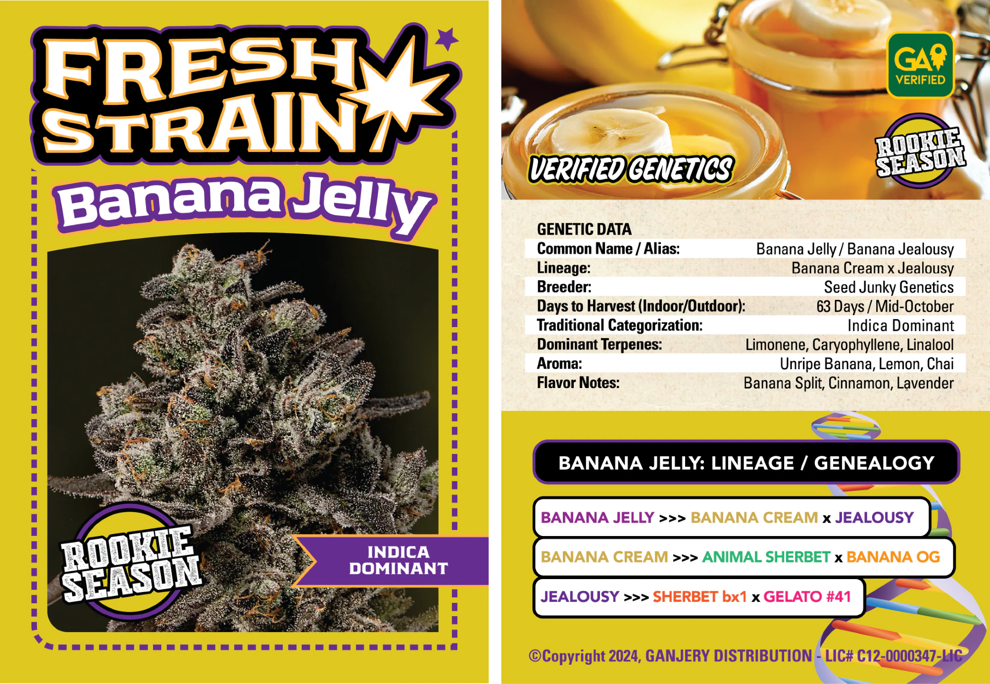 Fresh Strain - Banana Jelly - 3.5g (IH) - Fresh Strain Main Image