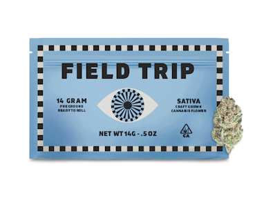 Field Trip - Field Trip Pre-Ground 14g Mango Haze