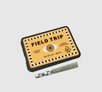 Field Trip 5pk Prerolls 2.5g Electric Feel