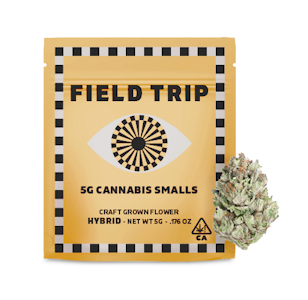 Field Trip - Field Trip Smalls 5g Electric Feel