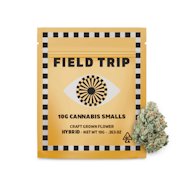 Field Trip Smalls 10g Electric Feel
