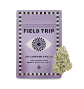 Field Trip Smalls 20g Galactic Runtz