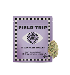 Field Trip - Field Trip Smalls 5g Wizard OG