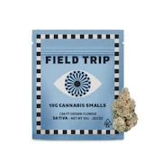 Field Trip Smalls 10g Gelonade