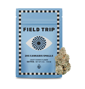 Field Trip - Field Trip Smalls 20g Mango Haze