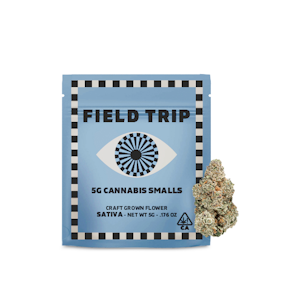 Field Trip - Field Trip Smalls 5g Jungle Bird