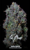 Fuel Biscuits 3.5 Gram Jar By Alt Sol