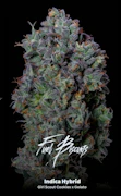 Fuel Biscuits 14 G - Half oz By Alt Sol