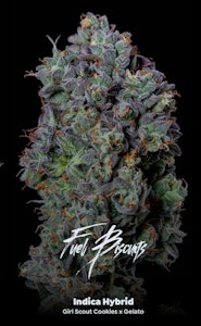 ALTERNATIVE SOLUTIONS - Fuel Biscuits 14 G - Half oz By Alt Sol