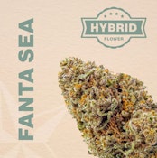 Fanta Sea Flower - 3.5g - GRM