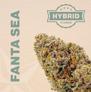 GENERAL'S AIDE - Fanta Sea Flower - 3.5g - GRM