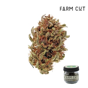 FARM CUT - Pink Boost Goddess THCv