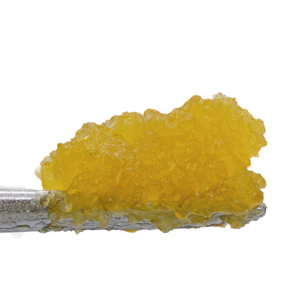 FARMS BRAND - Cheetah Piss 1g Sugar - Farms Brand