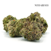 Fast Times -  4.2g (S) - Miss Grass