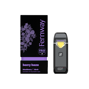 Fernway - Berry Haze - 2g Disposable - Fernway