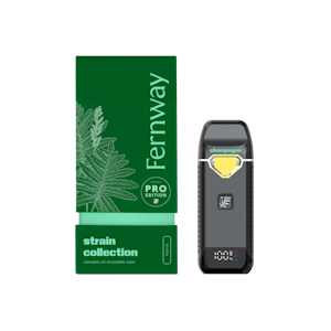 FERNWAY - Fernway | Traveler Pro | Champagne Kush | AIO | 2g