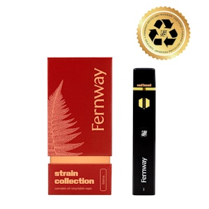 FERNWAY - Fernway - Red Headed Stranger - 2g AIO Traveler Vape