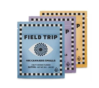 Field Trip - Field Trip Smalls 10g Mango Haze