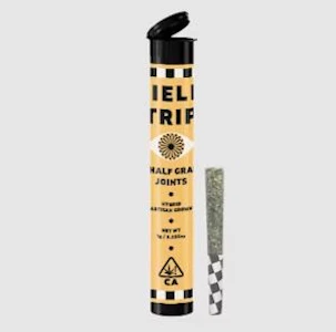 Field Trip - Field Trip 2pk Prerolls 1g Smooth Operator