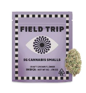 Field Trip - Field Trip Smalls 5g Wizard OG