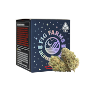 Jelly Zappers (H) | 3.5g Premium Indoor | Fig Farms